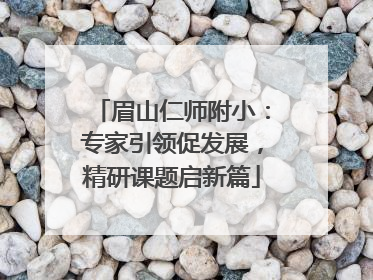 眉山仁师附小：专家引领促发展，精研课题启新篇