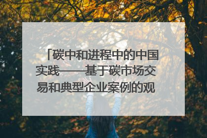 碳中和进程中的中国实践——基于碳市场交易和典型企业案例的观察报告｜旗舰报告