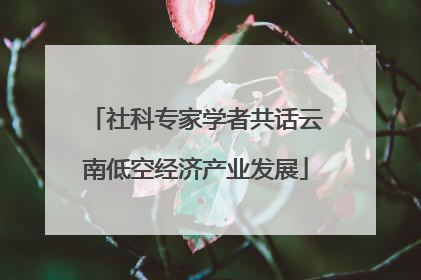 社科专家学者共话云南低空经济产业发展