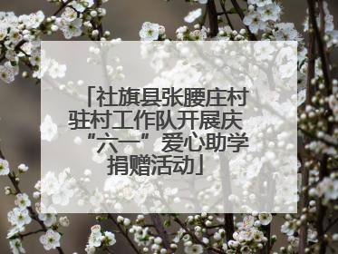 社旗县张腰庄村驻村工作队开展庆“六一”爱心助学捐赠活动