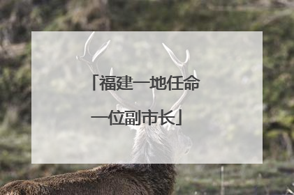 福建一地任命一位副市长