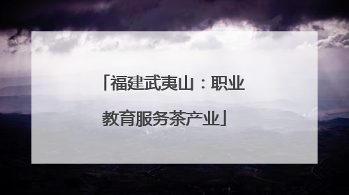 福建武夷山：职业教育服务茶产业
