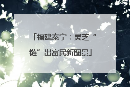 福建泰宁：灵芝“链”出富民新图景