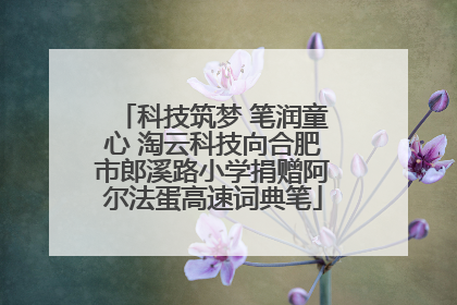 科技筑梦 笔润童心 淘云科技向合肥市郎溪路小学捐赠阿尔法蛋高速词典笔