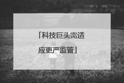 科技巨头需适应更严监管