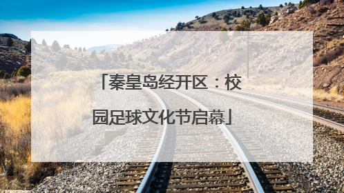 秦皇岛经开区：校园足球文化节启幕