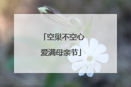 空巢不空心 爱满母亲节