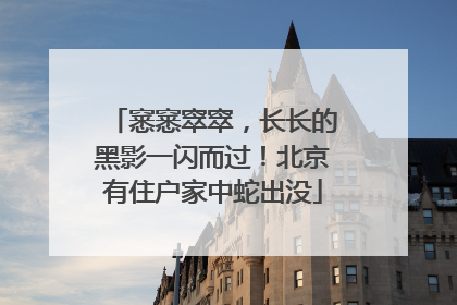 窸窸窣窣，长长的黑影一闪而过！北京有住户家中蛇出没