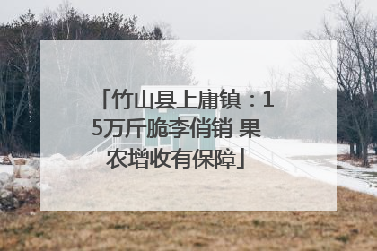 竹山县上庸镇：15万斤脆李俏销 果农增收有保障