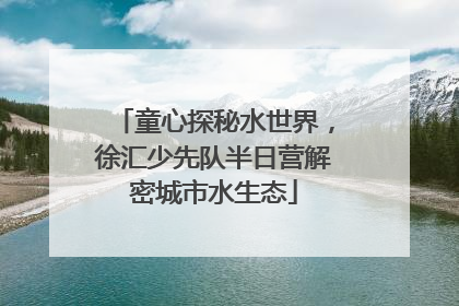 童心探秘水世界，徐汇少先队半日营解密城市水生态