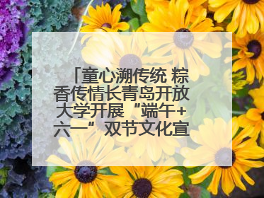 童心溯传统 粽香传情长青岛开放大学开展“端午+六一”双节文化宣讲活动