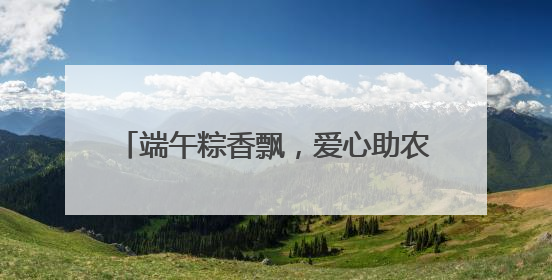 端午粽香飘，爱心助农暖人心｜亿膳坊以产业之火点亮乡村振兴路