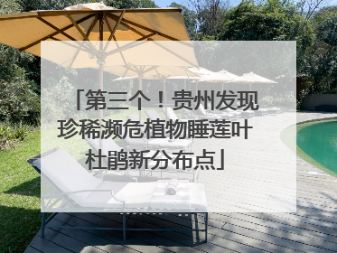第三个！贵州发现珍稀濒危植物睡莲叶杜鹃新分布点