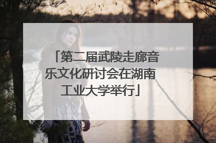 第二届武陵走廊音乐文化研讨会在湖南工业大学举行