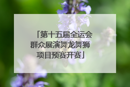 第十五届全运会群众展演舞龙舞狮项目预赛开赛