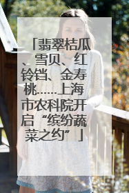 翡翠桔瓜、雪贝、红铃铛、金寿桃……上海市农科院开启“缤纷蔬菜之约”