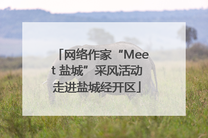 网络作家“Meet 盐城”采风活动走进盐城经开区