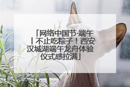 网络中国节·端午丨不止吃粽子！西安汉城湖端午龙舟体验仪式感拉满