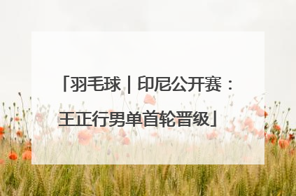羽毛球｜印尼公开赛：王正行男单首轮晋级