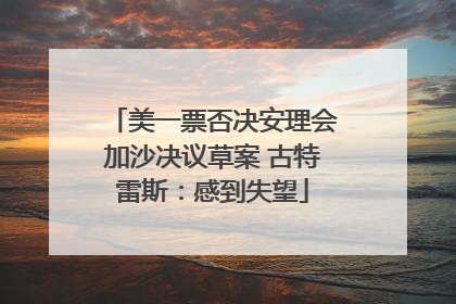 美一票否决安理会加沙决议草案 古特雷斯：感到失望