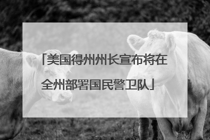美国得州州长宣布将在全州部署国民警卫队