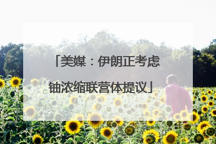 美媒：伊朗正考虑铀浓缩联营体提议