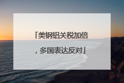 美钢铝关税加倍，多国表达反对