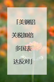 美钢铝关税加倍 多国表达反对