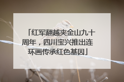 红军翻越夹金山九十周年，四川宝兴推出连环画传承红色基因