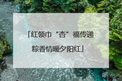 红领巾“杏”福传递 粽香情暖夕阳红