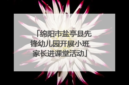 绵阳市盐亭县先锋幼儿园开展小班家长进课堂活动