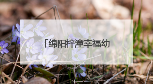 绵阳梓潼幸福幼儿园与自强小学开展支部共建活动