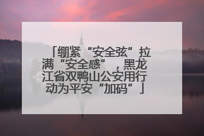 绷紧“安全弦”拉满“安全感”，黑龙江省双鸭山公安用行动为平安“加码”