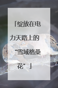 绽放在电力天路上的“雪域格桑花”