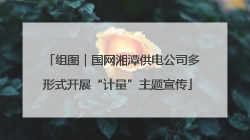 组图｜国网湘潭供电公司多形式开展“计量”主题宣传