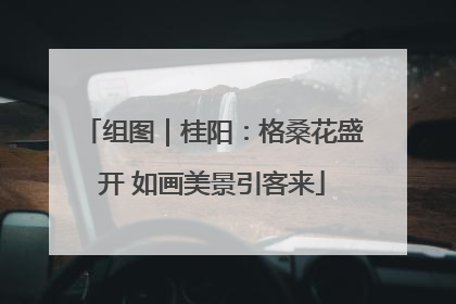 组图｜桂阳：格桑花盛开 如画美景引客来