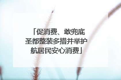 促消费、敢兜底 圣都整装多措并举护航居民安心消费