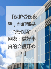 保护受伤夜鹭，他们都是“热心肠”！网友：做好事真的会很开心！