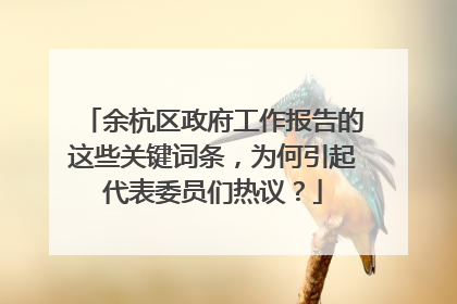 余杭区政府工作报告的这些关键词条，为何引起代表委员们热议？