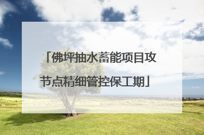 佛坪抽水蓄能项目攻节点精细管控保工期