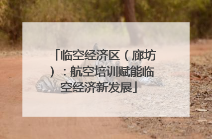 临空经济区（廊坊）：航空培训赋能临空经济新发展