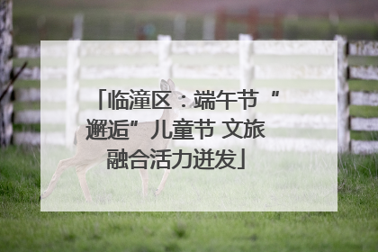 临潼区：端午节“邂逅”儿童节 文旅融合活力迸发