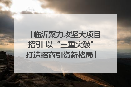 临沂聚力攻坚大项目招引 以“三重突破”打造招商引资新格局