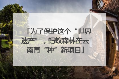 为了保护这个“世界遗产”，蚂蚁森林在云南再“种”新项目