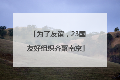 为了友谊，23国友好组织齐聚南京