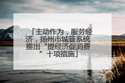 主动作为，服务经济，扬州市城管系统推出“提经济促消费”十项措施