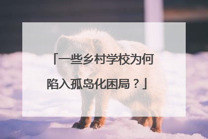 一些乡村学校为何陷入孤岛化困局？