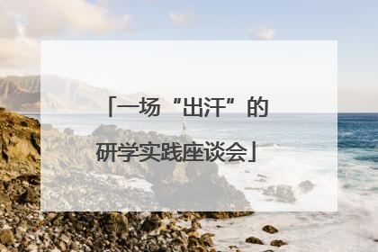 一场“出汗”的研学实践座谈会