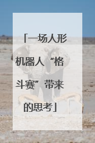 一场人形机器人“格斗赛”带来的思考