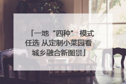 一地“四种” 模式任选 从定制小菜园看城乡融合新图景